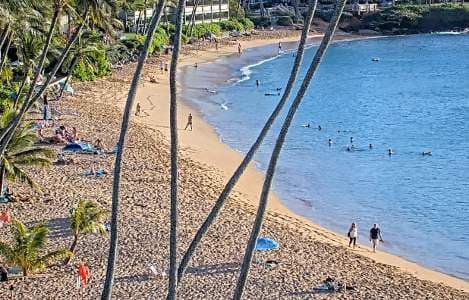 Napili Kai Beach Live Webcam