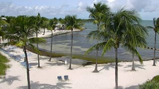 Live Tranquility Bay Webcam, Marathon, Florida