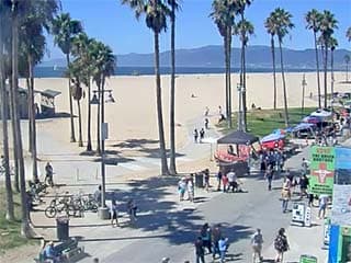 Live Venice Beach Cam, California